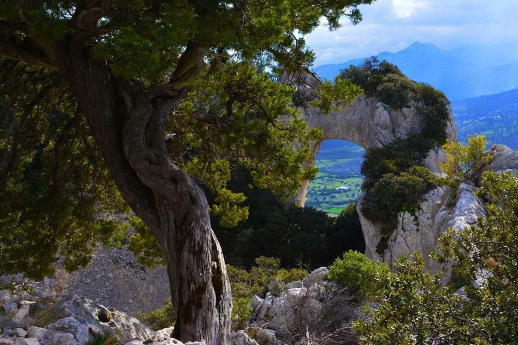 Canne Al Vento Galtelli Bagian luar foto